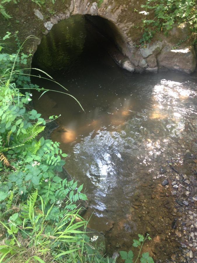 לינה וארוחת בוקר Mouzieys-Teulet Domaine Du Moulin מראה חיצוני תמונה